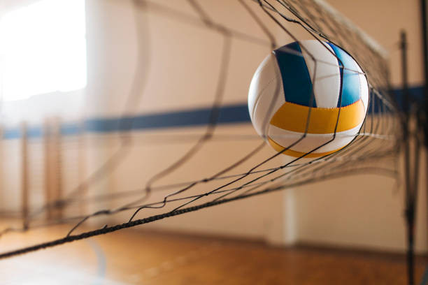 Спортсмены Мурманской области просят губернатора сделать площадки для волейбола бесплатными