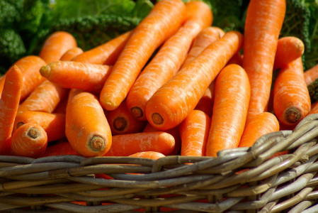 Морковь вырастет крупной, ровной, не будет растрескиваться: в июне проведите эту важную подкормку — мощный «пинок» для культуры