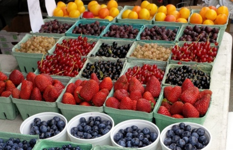 Ноль бляшек: Врач назвал ягоду, которая мощно снижает холестерин в крови и улучшает состояние сосудов — растет на каждом огороде