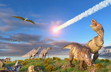 Переживет ли человечество удар астероида, уничтожившего динозавров — ответ дали ученые