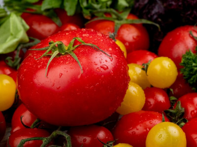 Урожая не дождетесь: эта непростительная ошибка садоводов убивает помидоры