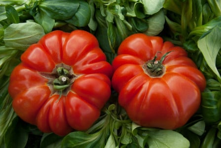 Эту простую подкормку помидоры обожают: вырастают крупными, сладкими и мясистыми — важно успеть внести ее в июне