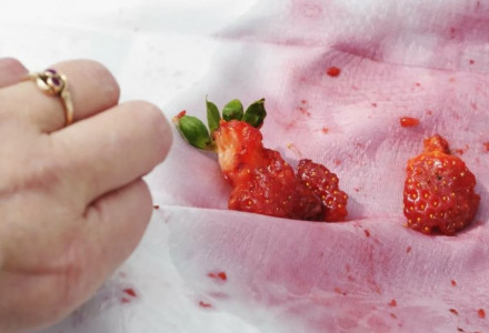 Отстираются даже белые вещи: пятна от ягод можно в 2 счета вывести советским способом — незаслуженно забытая методика
