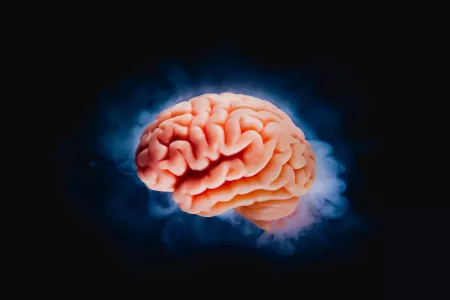 «Лекарство» от забывчивости: невролог Говорин назвал способ улучшить память — информация будет запоминаться надолго