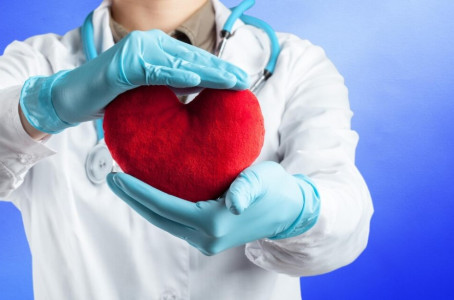 Укрепит сердце и снизит риск инсульта: врач назвал один орех, способный минимизировать риски сердечных болезней — тонометр станет лишним