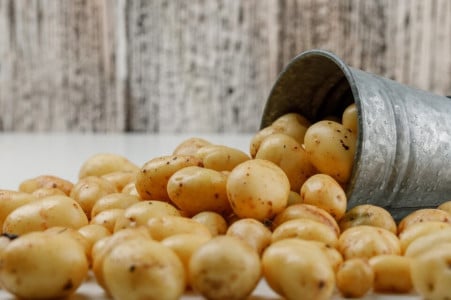 Картофель соберете раньше срока: хитрые дачники делают так каждый июнь — старинный рецепт
