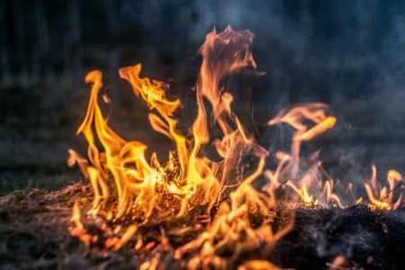 Повышенный класс пожарной опасности ожидается в нескольких муниципалитетах Мурманской области