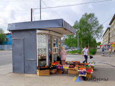 Можно ли есть черешню и клубнику, которые поступили в продажу в магазины Мурманской области, ответили в Россельхознадзоре