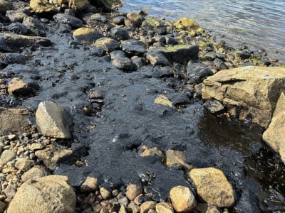 Пахнет экологической катастрофой: на берегу Кольского полуострова нашли лужи мазута