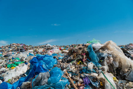 На свалке в Мончегорске хранят мусор с нарушениями закона
