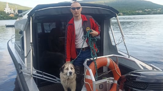 Северный Хатико: в Мончегорске спасли собаку, у которой умер хозяин