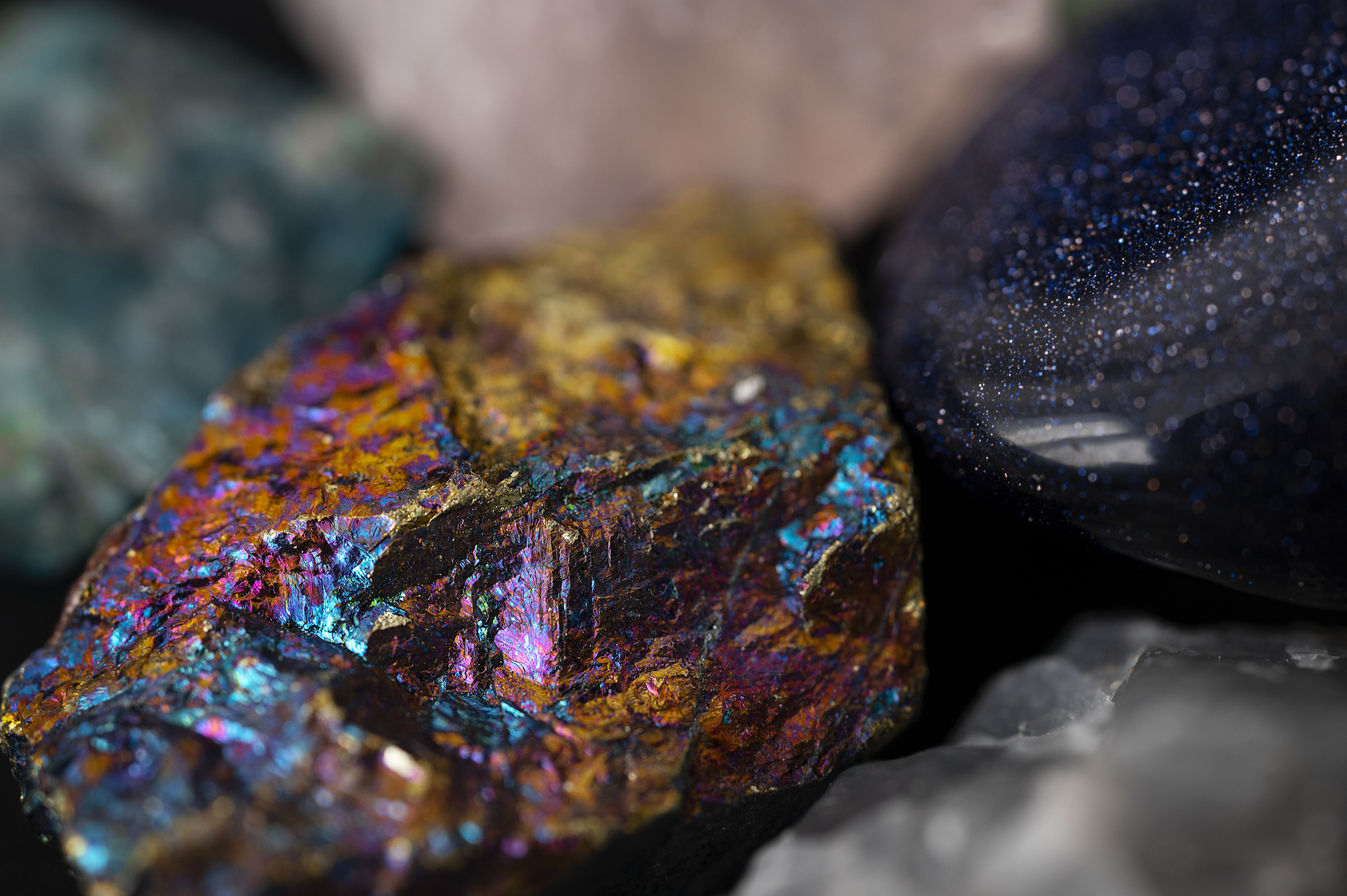 Тяжёлые металлы, которые нашли на оленьих пастбищах, не вредят экологии Мурманской области