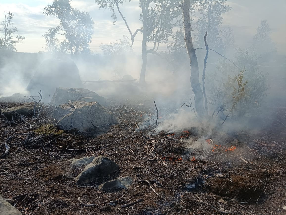 16 пожаров произошло в Заполярье с начала пожароопасного периода