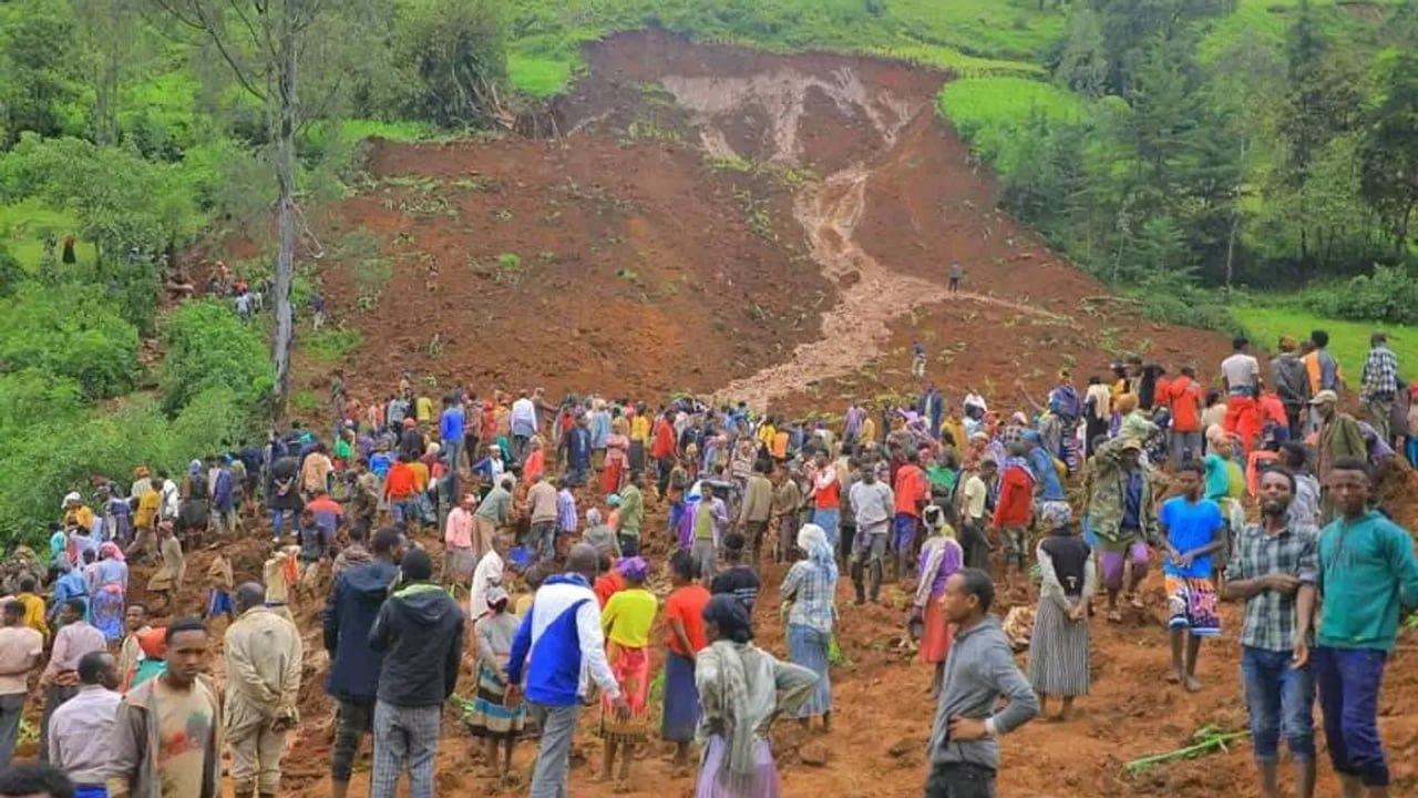 Число погибших при сходе оползней в Эфиопии достигло 229 человек - СМИ