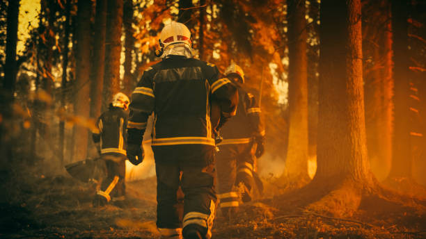 17 пожаров произошло с начала пожароопасного периода в Заполярье