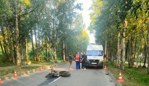 Мотоциклист влетел в дерево и погиб в Кандалакше