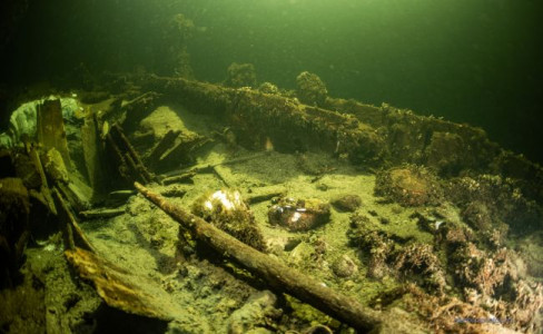 На дне Балтийского моря обнаружили затонувший корабль с посылкой для Николая I: вместо золота там был другой ценный груз