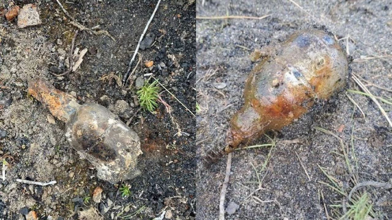 Волонтёры нашли три гранаты времён Великой Отечественной войны в Никеле