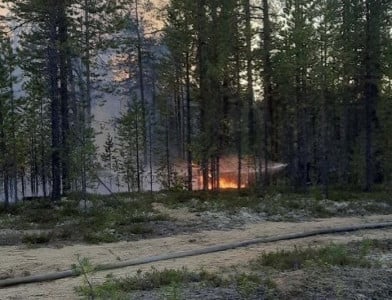 Лесной пожар тушили пять часов в Кольском районе