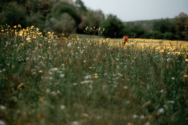 Фото: istockphoto.com