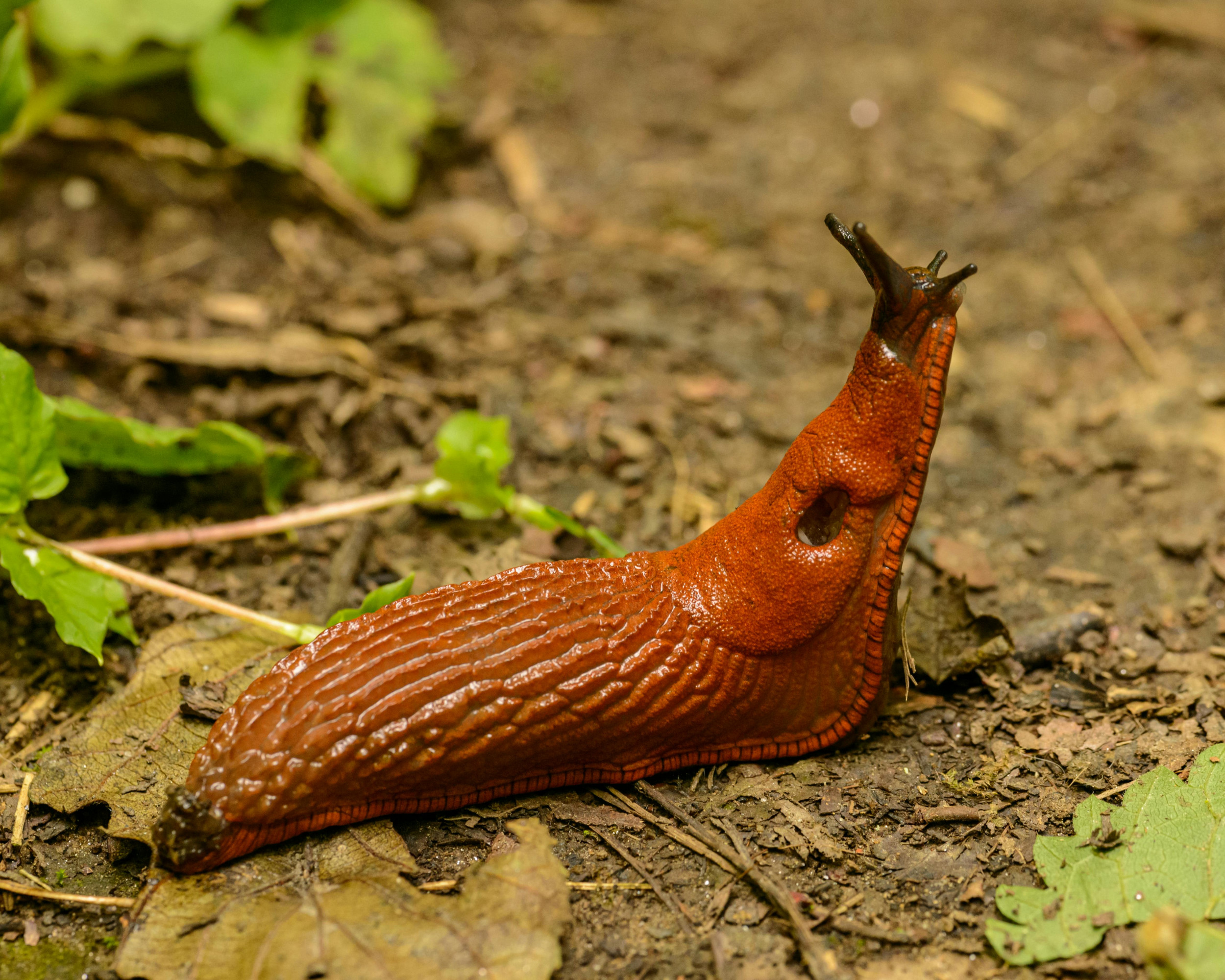 Фото: Petr Ganaj/pexels.com