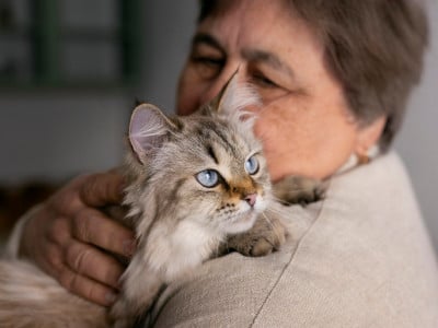 Ваш котик на вас сильно обижен: 3 признака, которые говорят, что пора возвращать любовь питомца