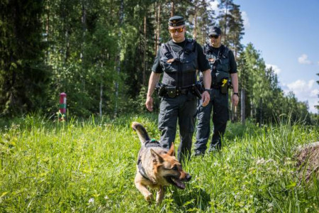 Финляндия заявила об исчезновении 400 человек, прибывших через Россию