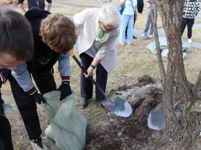 Набережную в городе Кола украсили зелеными насаждениями