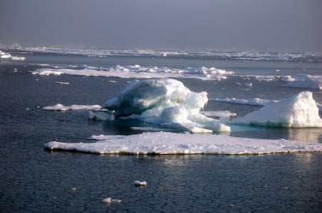 Откуда в арктическом море теплые воды: российские ученые разгадали тайну «оазиса» в Северном полушарии