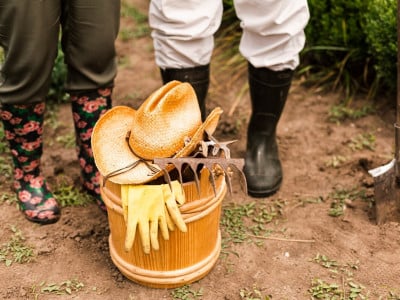 Опытные агрономы знают, как восстановить почву после сбора картофеля