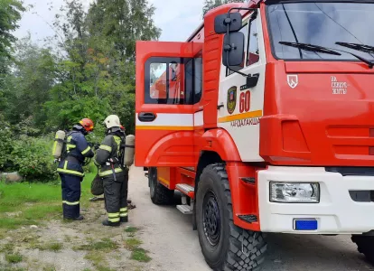 Пожарные смогли потушить огромный пожар в Кольском лесничестве — огонь бушевал на площади 12 га