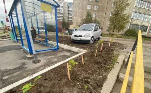 «Другого места не было?»: в Мурманске водитель припаркованной машины вызвал возмущение горожан