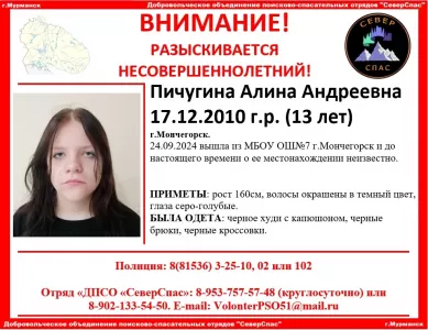 13-летняя девочка пропала в Мончегорске