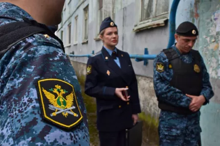 В Оленегорске женщина завела десять кошек, четырех собак и развела антисанитарию