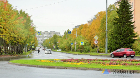 В Сети пожаловались, что в Апатитах на клумбе лежат камни в цветах украинского флага — их перекрасили, но сделали ещё хуже