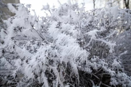 Прогноз погоды в Мурманской области на 10 октября