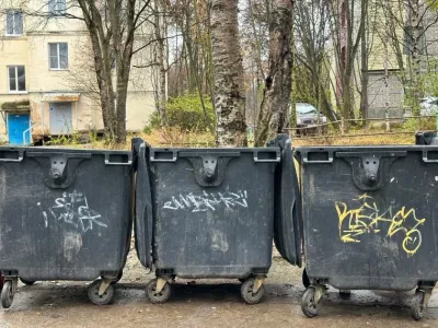 В Апатитах успешно завершили первый этап дератизации