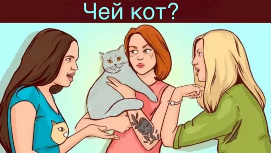 Кто хозяйка кота — гении логики вычисляют ее за 7 секунд: картинка для проверки IQ