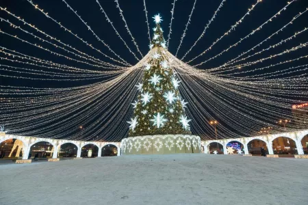 Мурманчане обеспокоены судьбой городской новогодней елки: точное место до сих пор не определено