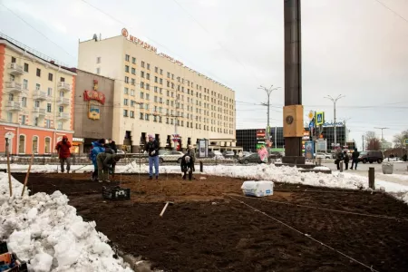 В столице Заполярья впервые высадили тюльпаны на городских клумбах