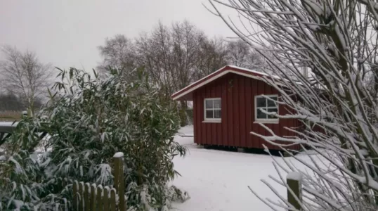 Лунный календарь огородника и садовода со 2 по 8 декабря: что обязательно нужно сделать на даче для хорошего урожая