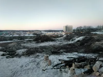 На улице Капитана Буркова в Мурманске вырубили деревья