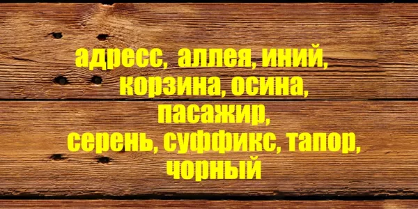 Сколько слов написаны с ошибкой: Тест на грамотность — отличники 3 класса справятся на 100%, а вы?