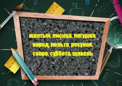 Сколько допущено ошибок в словах: тест на грамотность — отличники 5 класса легко осилят 9/9, а вы?