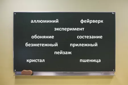 Сколько слов из 10 написаны с ошибкой: угадывают даже «двоечники» из 5 класса — тест на грамотность