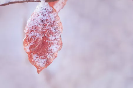 Прогноз погоды в Мурманской области на вторник, 17 декабря