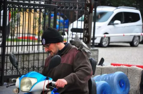 Турок нашел лучшего друга после того, как спас голубя