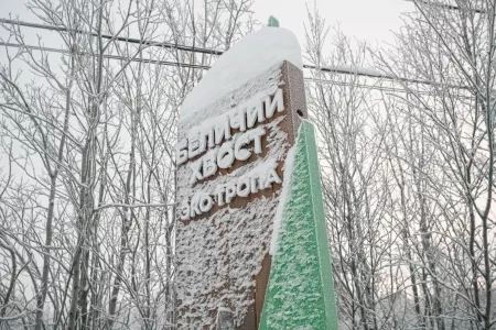 В Мурманске жители смогли опробовать лыжные трассы спорткомплекса «Снежинка»