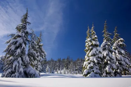 Прогноз погоды в Мурманской области на четверг, 9 января