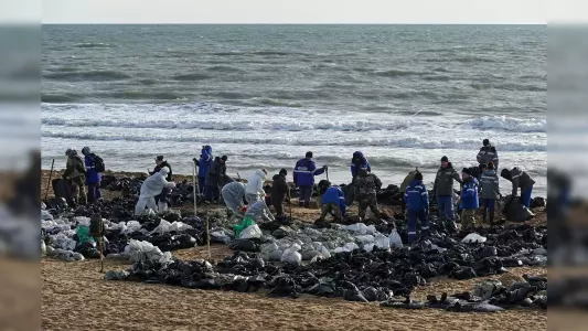 В Крыму обнаружили новые выбросы мазута на побережье: какие районы оказались под угрозой